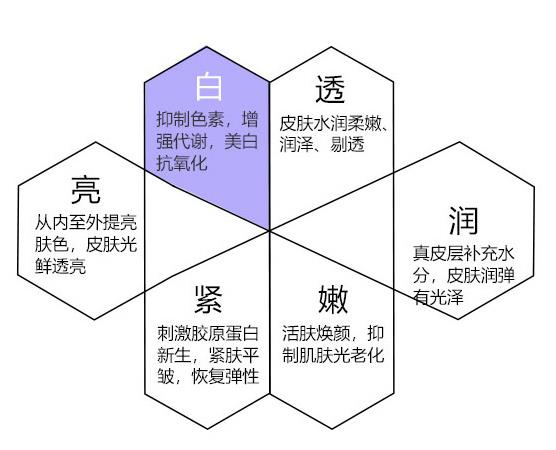 企业图片
